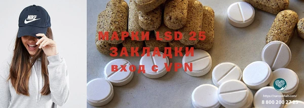 прущие грибы Майский