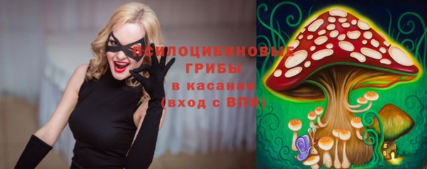 прущая мука Магадан