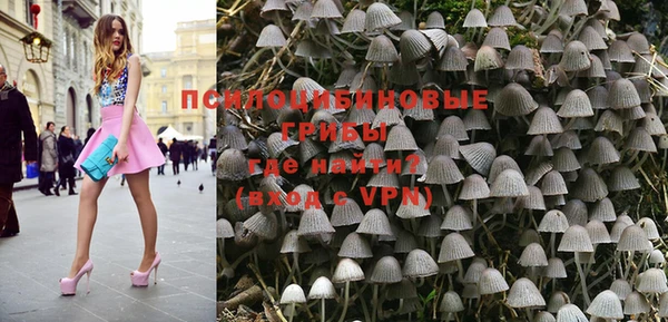 гидропоника Магас